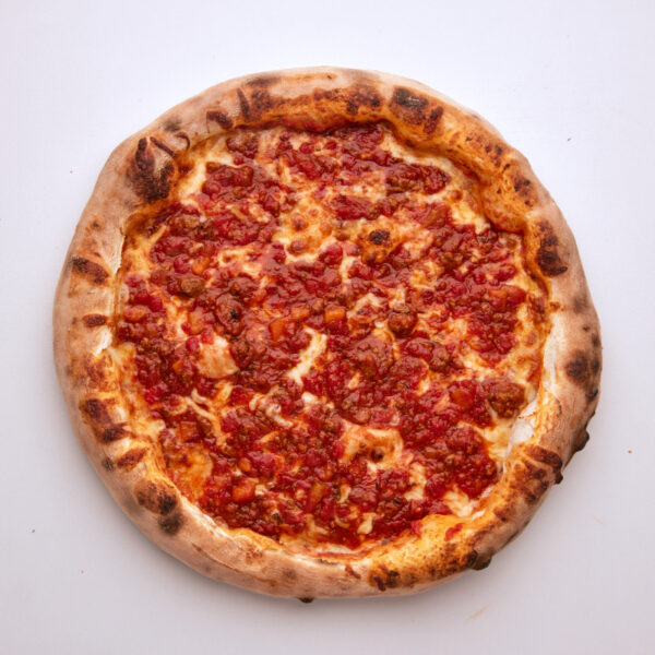 Bolognese - Image 2